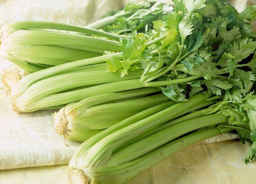 Jak vařit z řapíkatého celeru, aby v lednici nevadnul