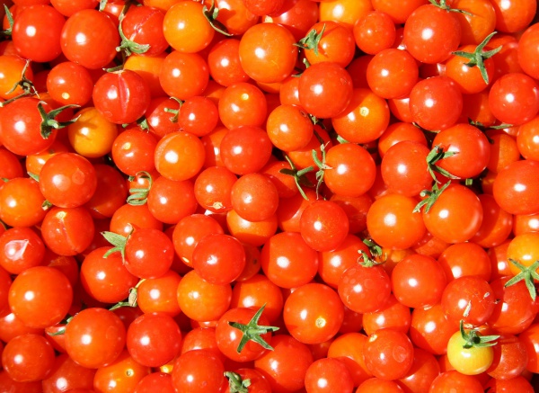 Proč si zamilovat rajčata
