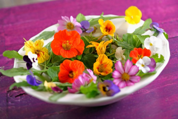 Krása jedlých květů – co si naložit na talíř a čemu se raději obloukem vyhnout